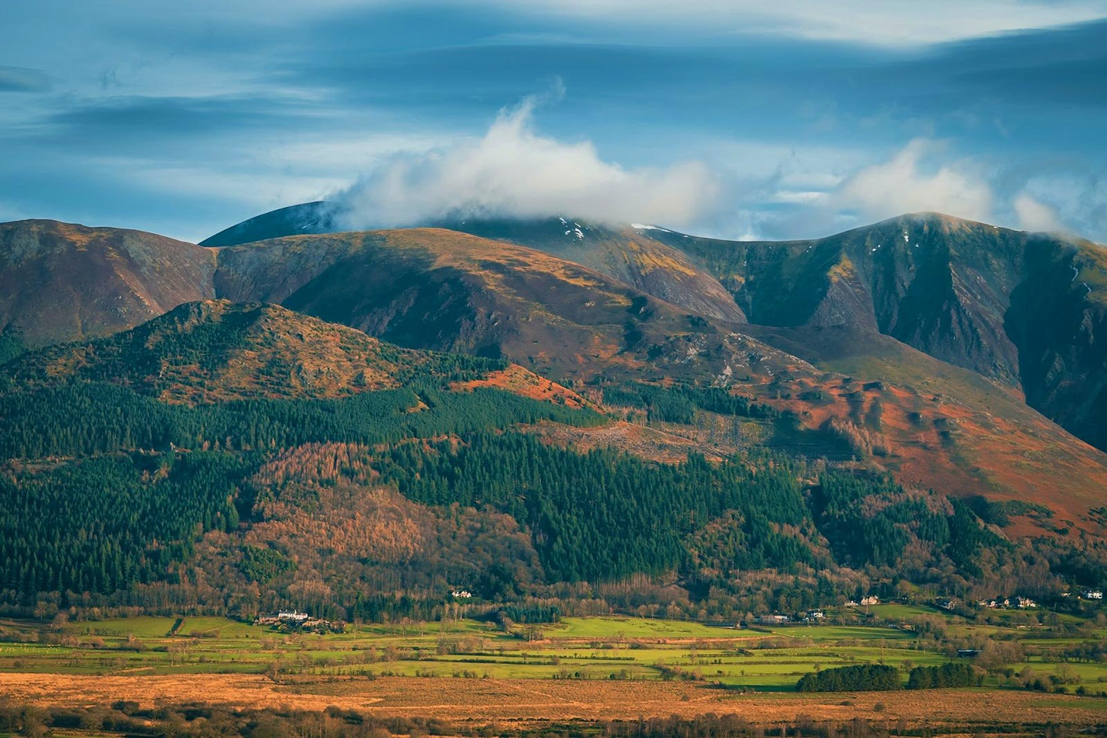 New high-altitude nature reserve to bring trees back to Skiddaw after centuries