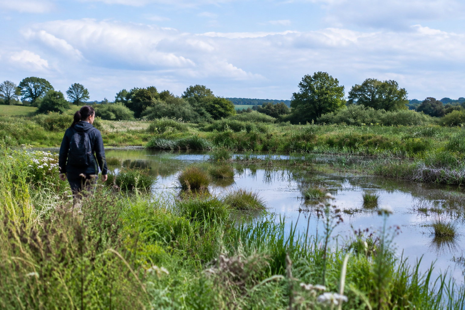 West Northamptonshire approves plan to restore wetlands, plant trees and protect wildlife